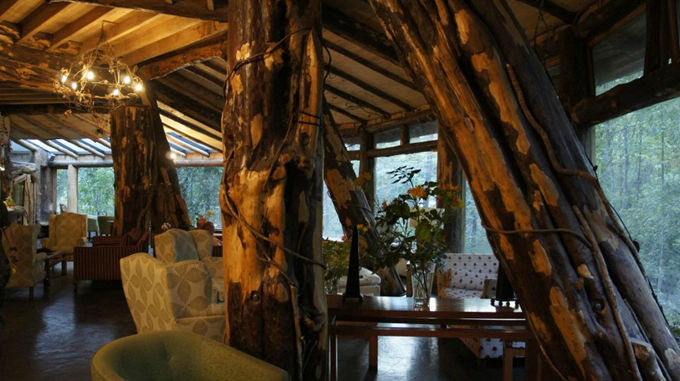 神奇的魔法木制酒店,童话森林里的城堡--置顶表情