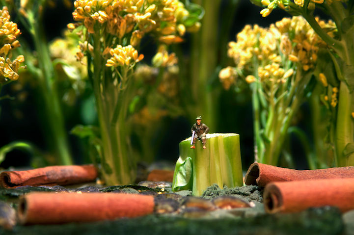 微距摄影的食物和人偶,每个都是不同的故事--置顶表情
