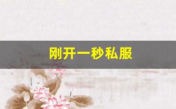 刚开一秒私服(最新刚开一秒传奇sf) (3)