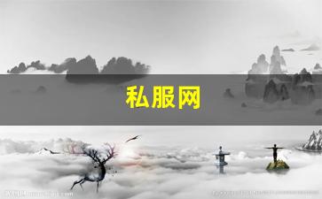 私服网(手游私sf平台) (4)