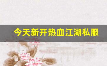 热血江湖 私服：今天新开热血江湖私服 (11)