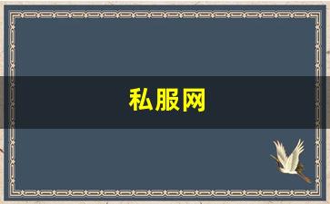 私服网(手游私sf平台) (4)