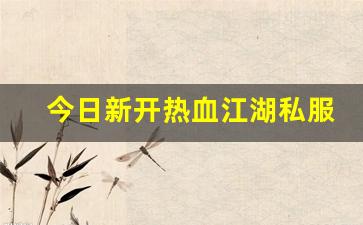 今日新开热血江湖私服 (3)