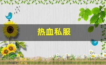 热血私服(热血官方)