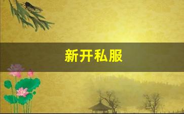 私服网：新开私服(传奇新开服网站大全) (9)