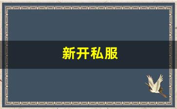 新开私服(传奇新开服网站大全)