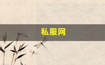 私服网(手游私sf平台) (9)