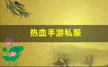 热血手游私服(热血手游开服时间) (3)