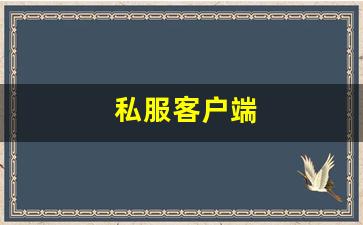 私服客户端 (13)