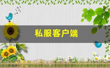 私服客户端 (10)