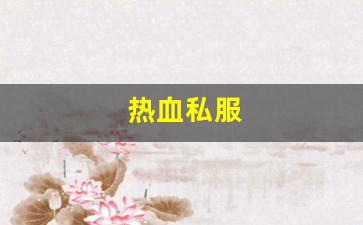 热血私服(热血正版手游) (2)