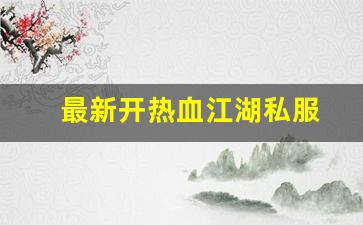 最新开热血江湖私服 (16)
