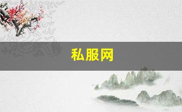 私服网(手游私sf平台) (4)
