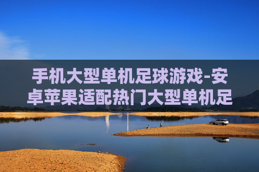 手机大型单机足球游戏-安卓苹果适配热门大型单机足球游戏