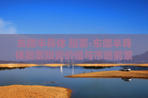东微半导体 股票-东微半导体股票投资价值与市场前景分析