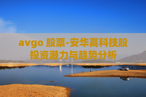 avgo 股票-安华高科技股投资潜力与趋势分析