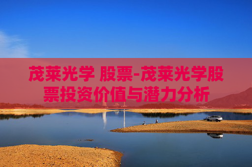 茂莱光学 股票-茂莱光学股票投资价值与潜力分析