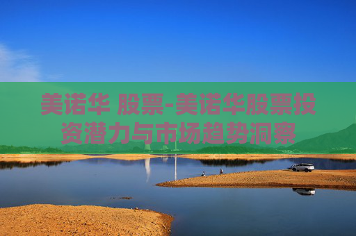 美诺华 股票-美诺华股票投资潜力与市场趋势洞察