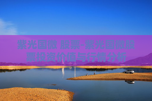 紫光国微 股票-紫光国微股票投资价值与行情分析