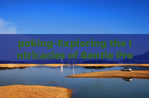 poking-Exploring the Intricacies of Gentle Prodding