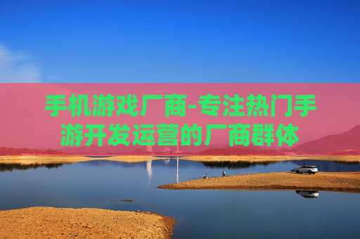 手机游戏厂商-专注热门手游开发运营的厂商群体