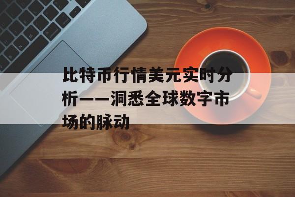 比特币行情美元实时分析——洞悉全球数字市场的脉动