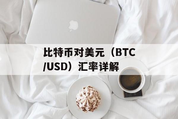 比特币对美元(BTC/USD)汇率详解 比特币对美元(BTC/USD)汇率详解