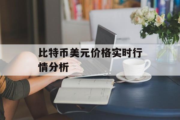 比特币美元价格实时行情分析