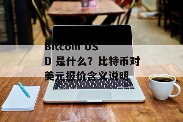 Bitcoin USD 是什么？比特币对美元报价含义说明